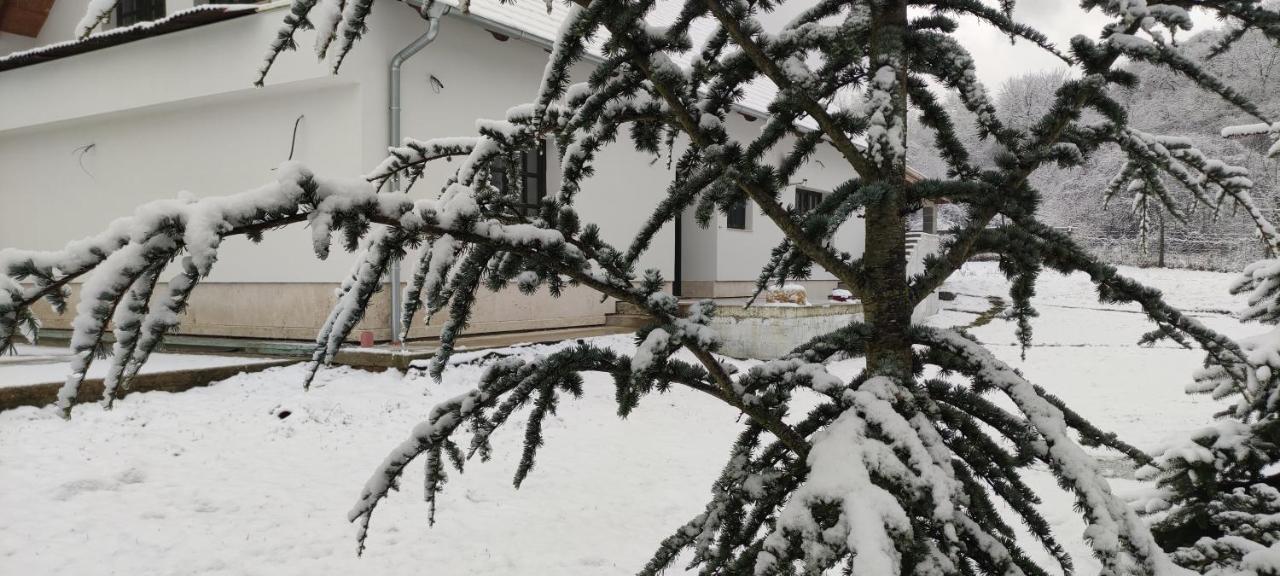 Gerecse Vendeghaz Hotel Sutto Buitenkant foto